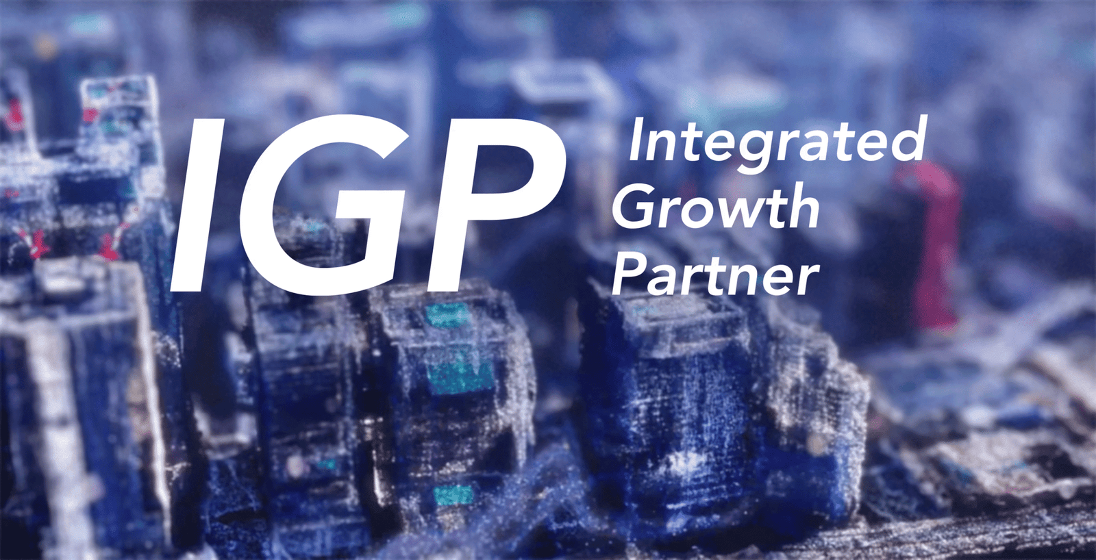 Integrated growth partner India concept for startup consulting and venture growth strategy